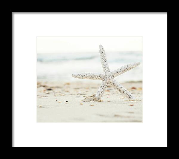 Starfish #4 - Framed Print