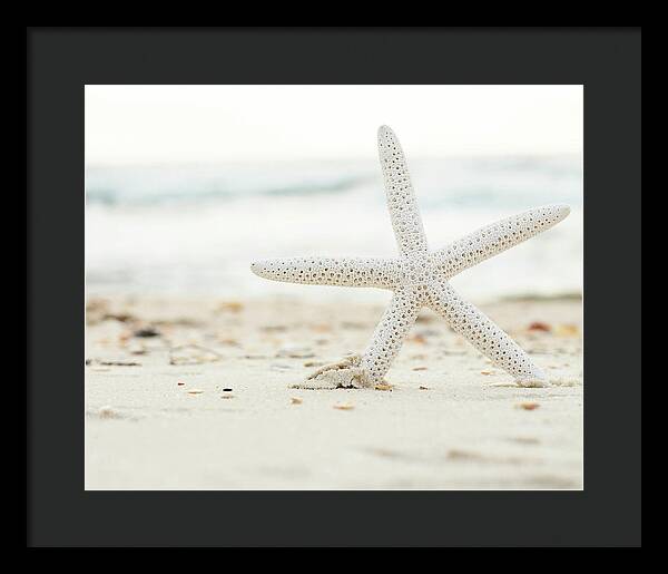 Starfish #4 - Framed Print