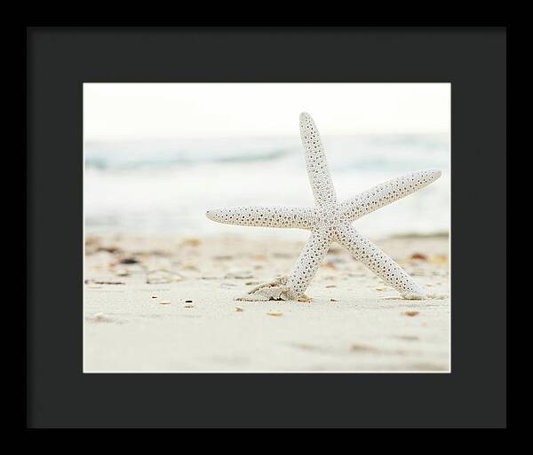 Starfish #4 - Framed Print