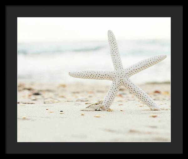 Starfish #4 - Framed Print