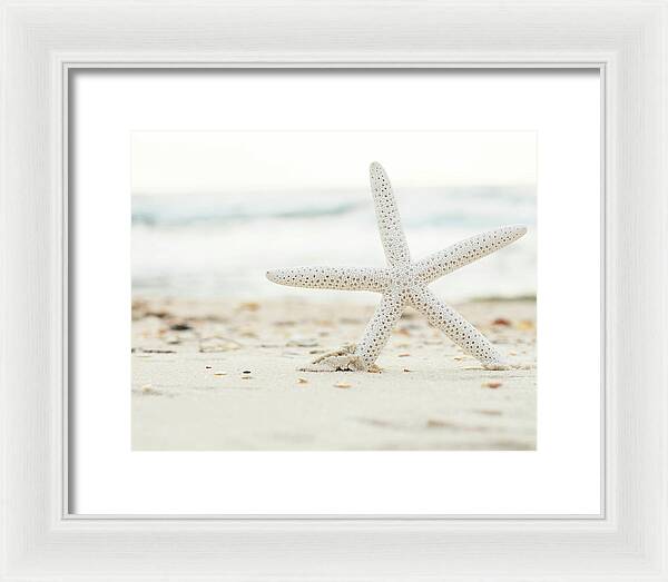 Starfish #4 - Framed Print