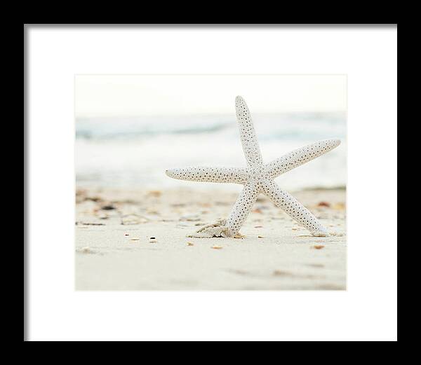 Starfish #4 - Framed Print