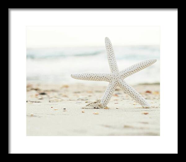 Starfish #4 - Framed Print