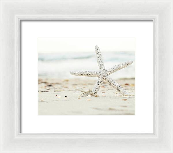 Starfish #4 - Framed Print