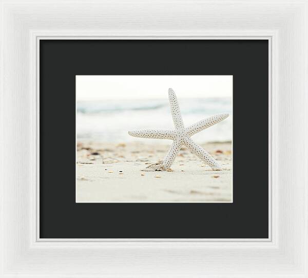 Starfish #4 - Framed Print