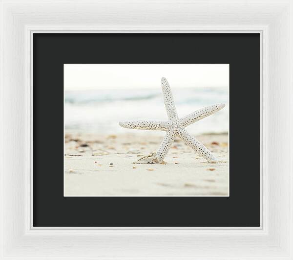 Starfish #4 - Framed Print