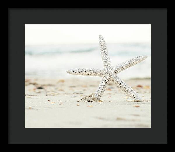 Starfish #4 - Framed Print