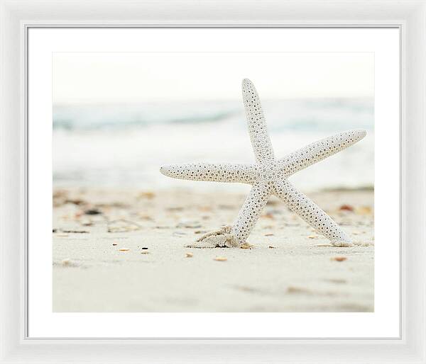 Starfish #4 - Framed Print