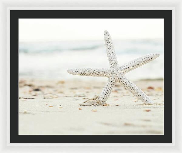 Starfish #4 - Framed Print