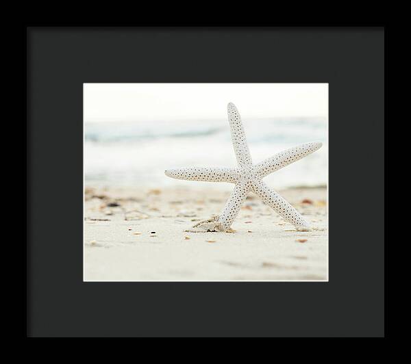 Starfish #4 - Framed Print