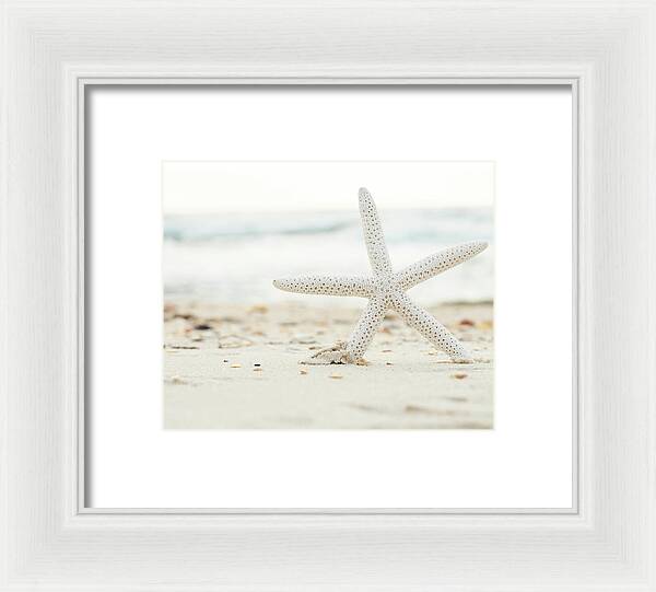 Starfish #4 - Framed Print