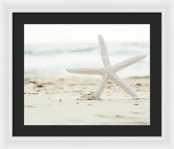 Starfish #4 - Framed Print