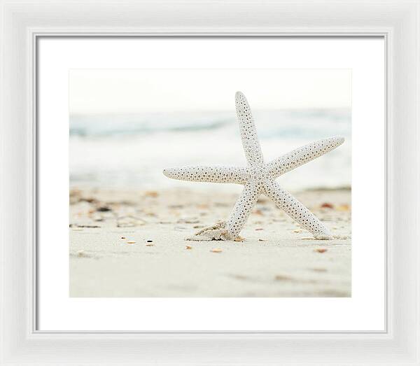 Starfish #4 - Framed Print