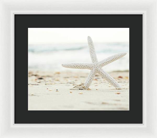 Starfish #4 - Framed Print