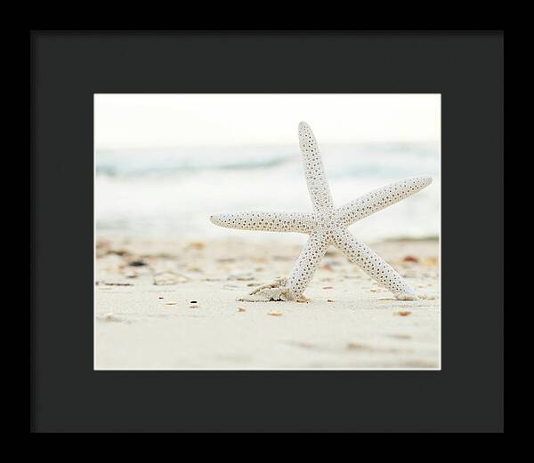 Starfish #4 - Framed Print