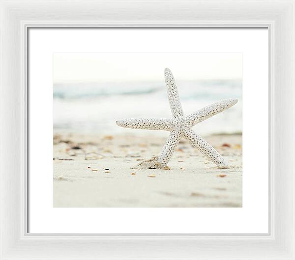 Starfish #4 - Framed Print