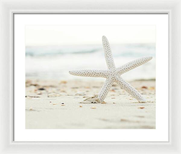 Starfish #4 - Framed Print