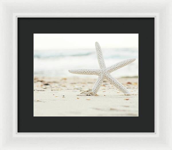 Starfish #4 - Framed Print