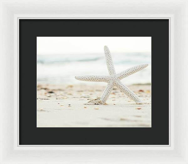 Starfish #4 - Framed Print