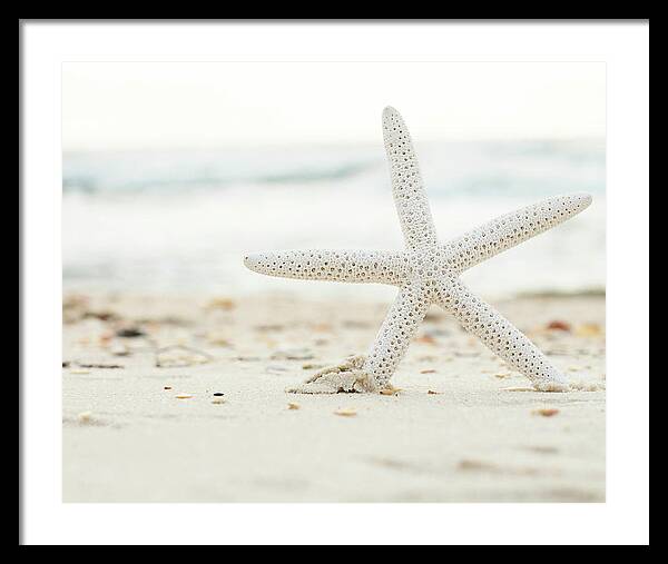 Starfish #4 - Framed Print