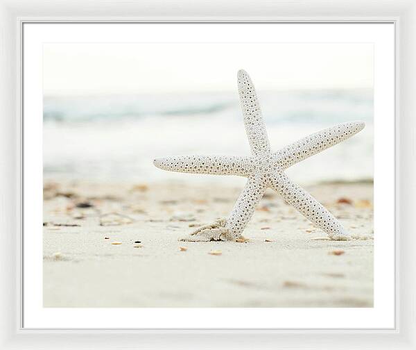 Starfish #4 - Framed Print