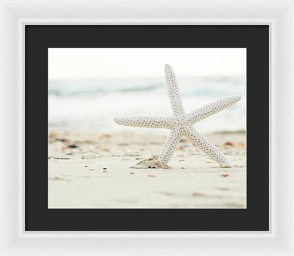 Starfish #4 - Framed Print