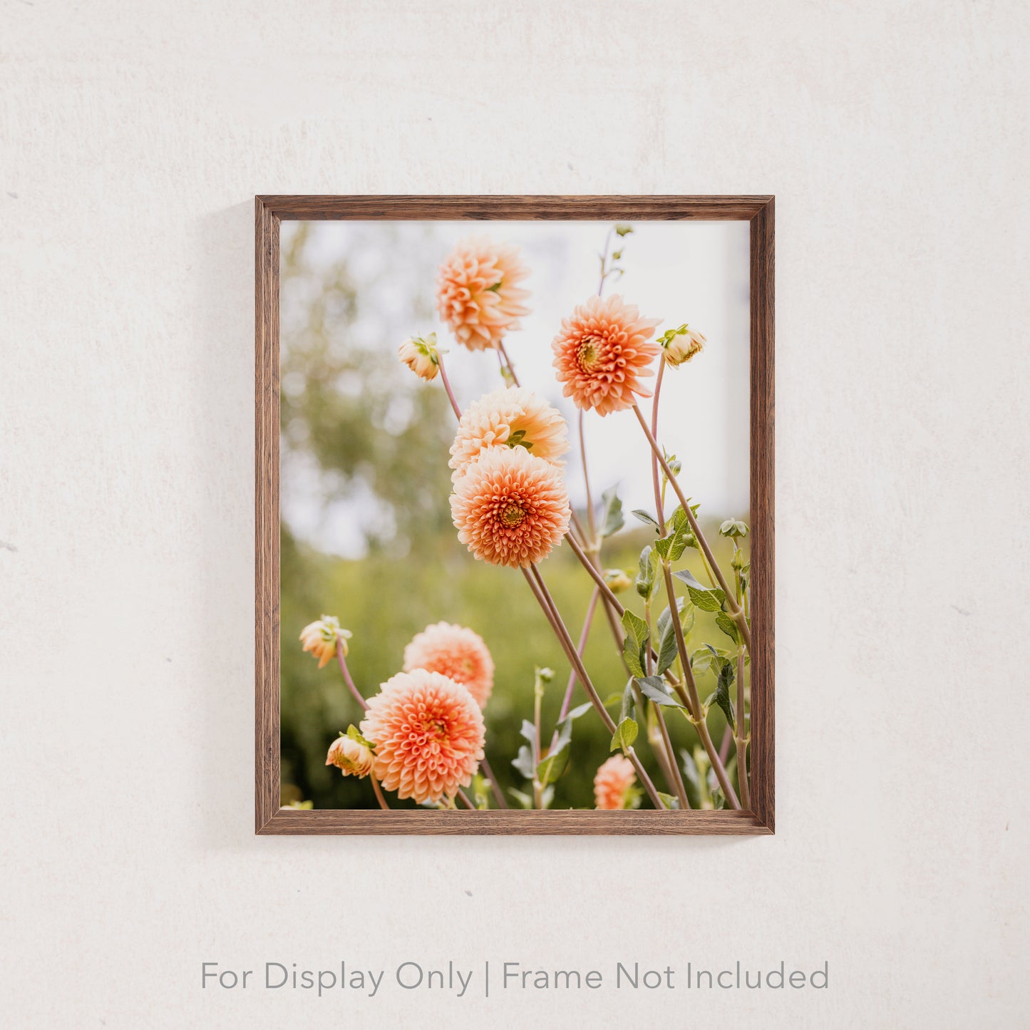Orange Dahlia II | Nature Floral Photography Print