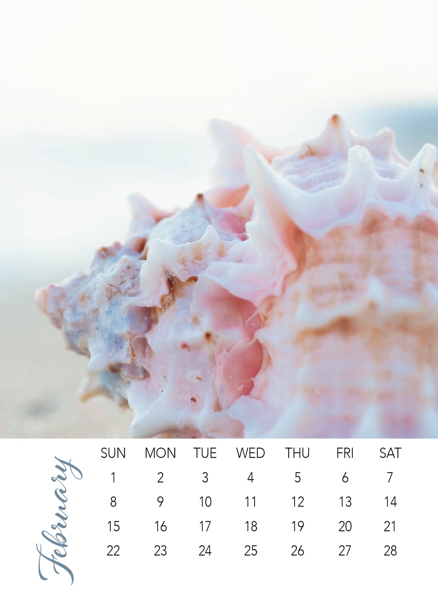 2026 Beach 5×7 Loose-Leaf Photography Desk Calendar