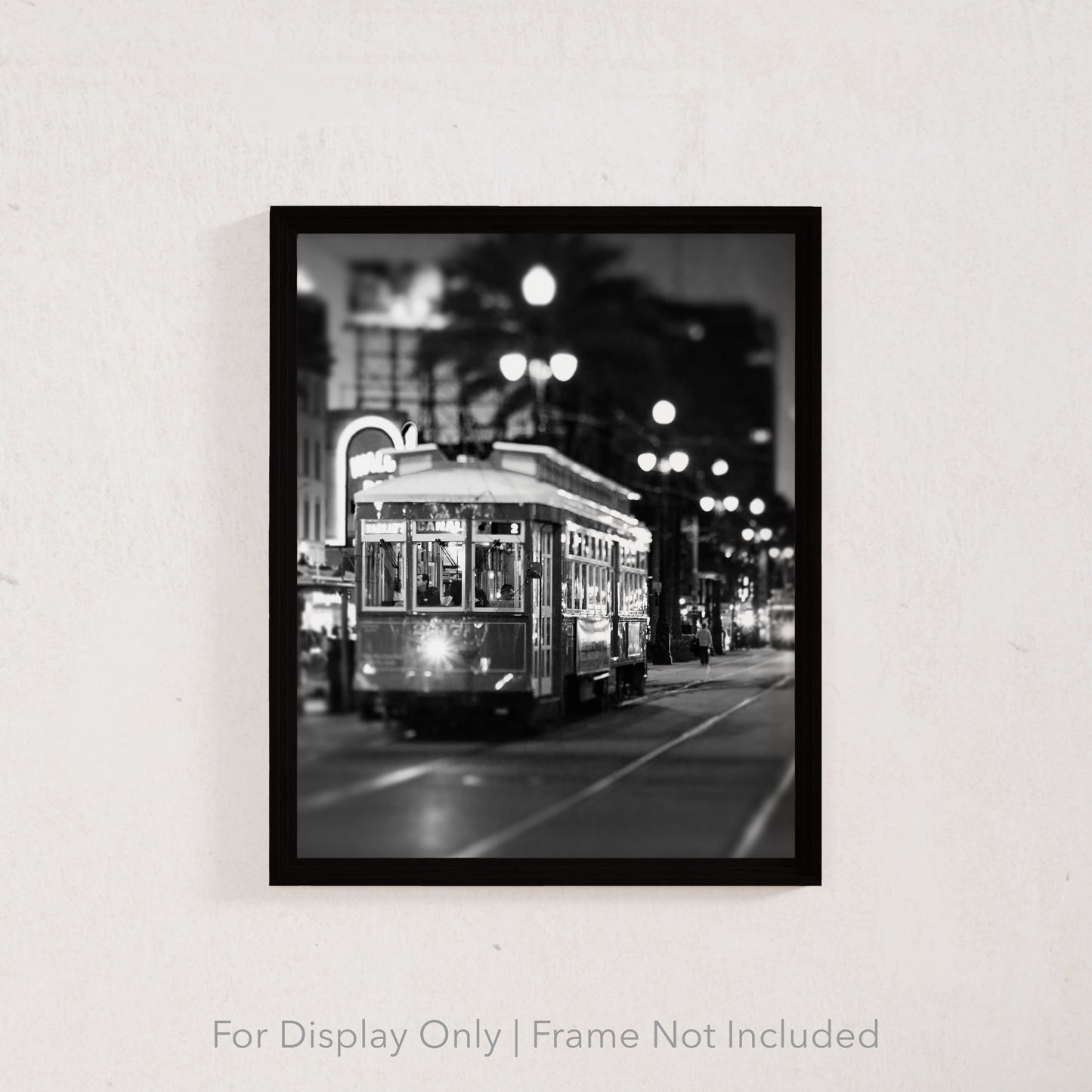 Black and White Canal Street Streetcar | New Orleans, Louisiana