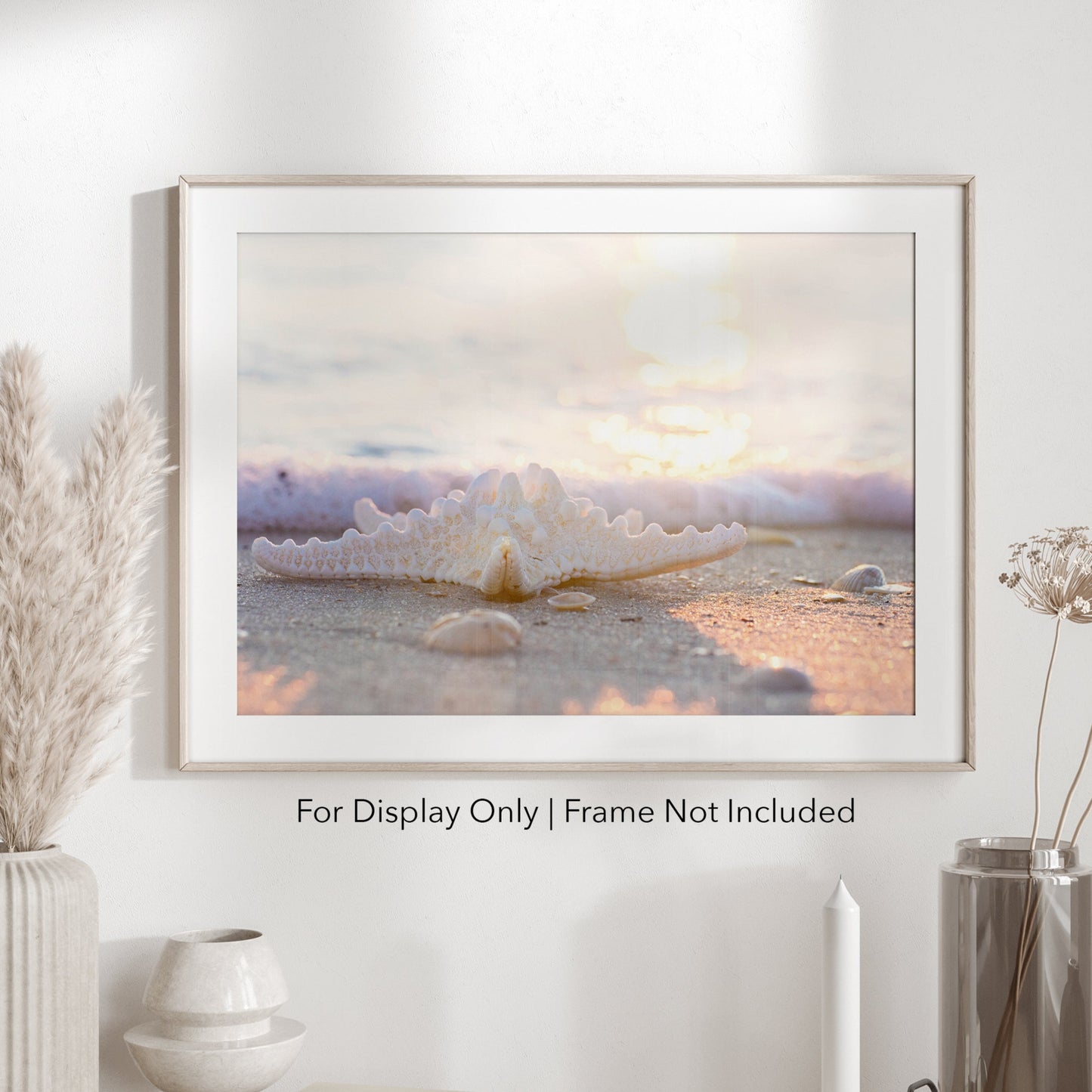 Sunlight Starfish | Beach Landscape Photography Print