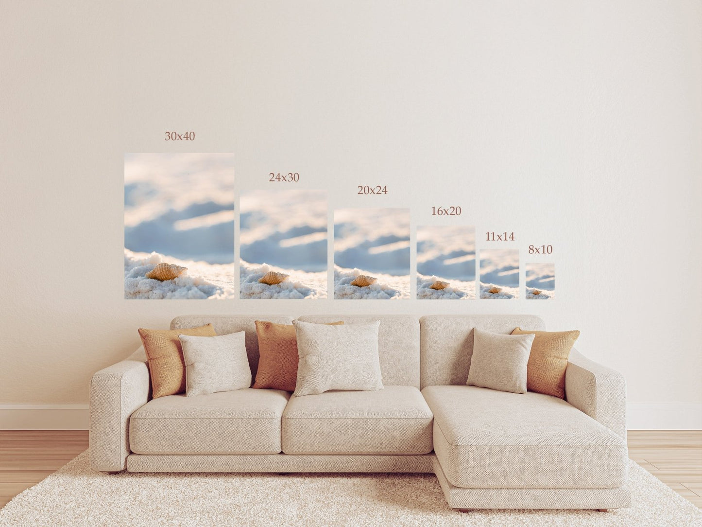 Seashell on the Sand – Coastal Beach Photography Print or Canvas Wall Art