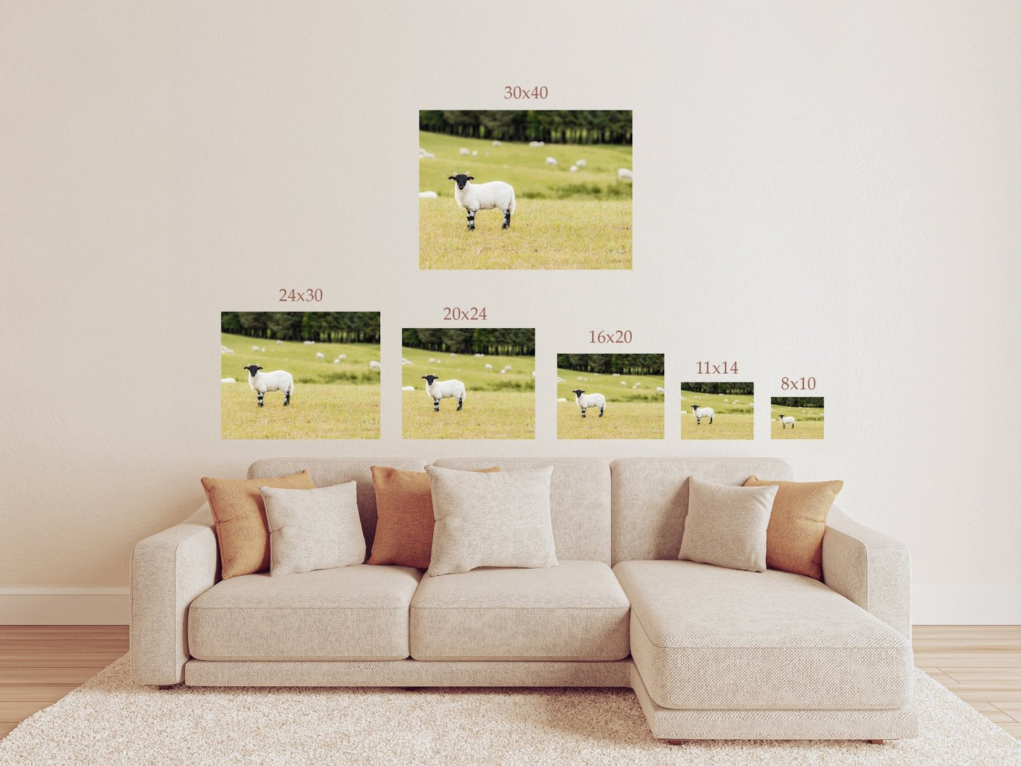 Scottish Sheep Wall Art – Rustic Countryside Farm Animal Photography Print or Canvas