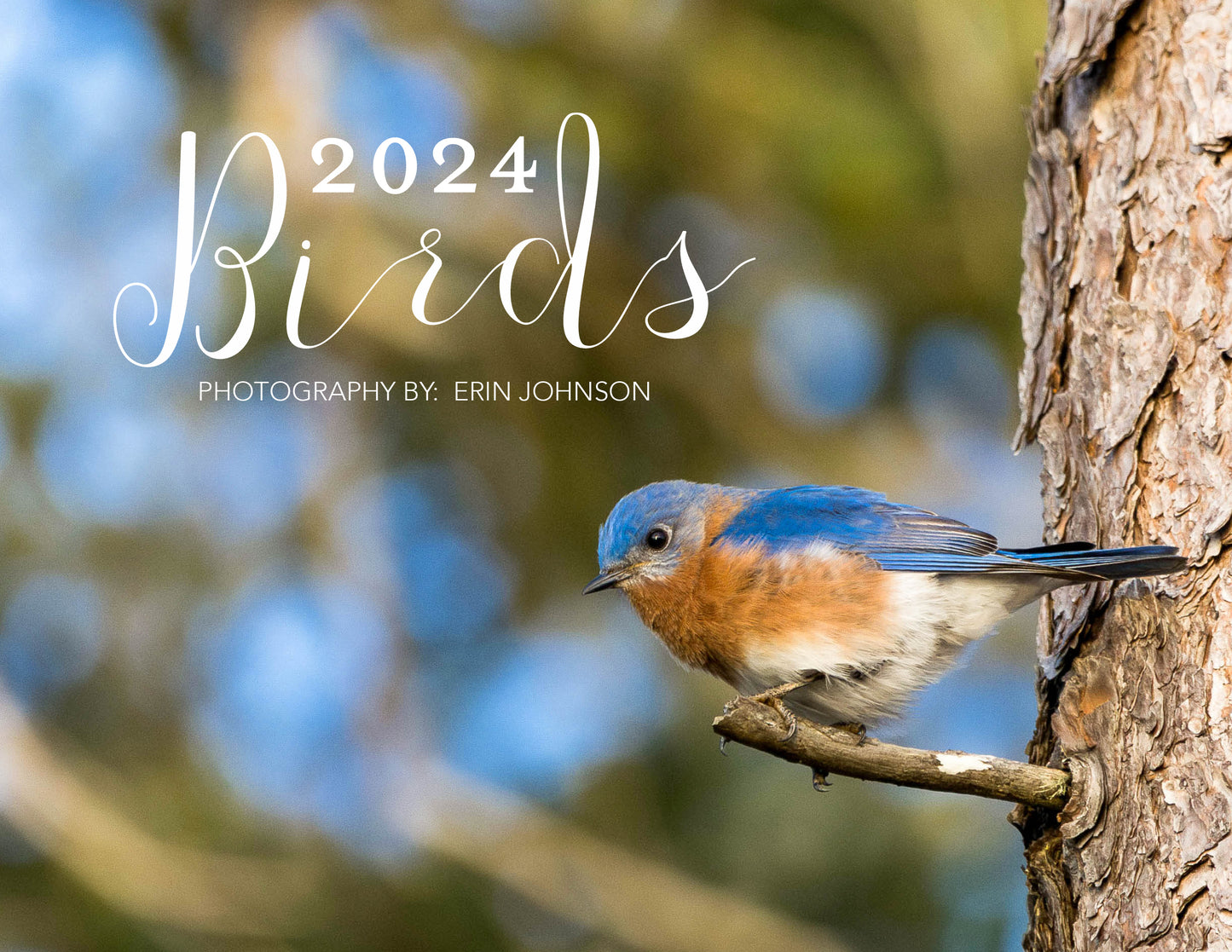 2024 Bird Wall Calendar