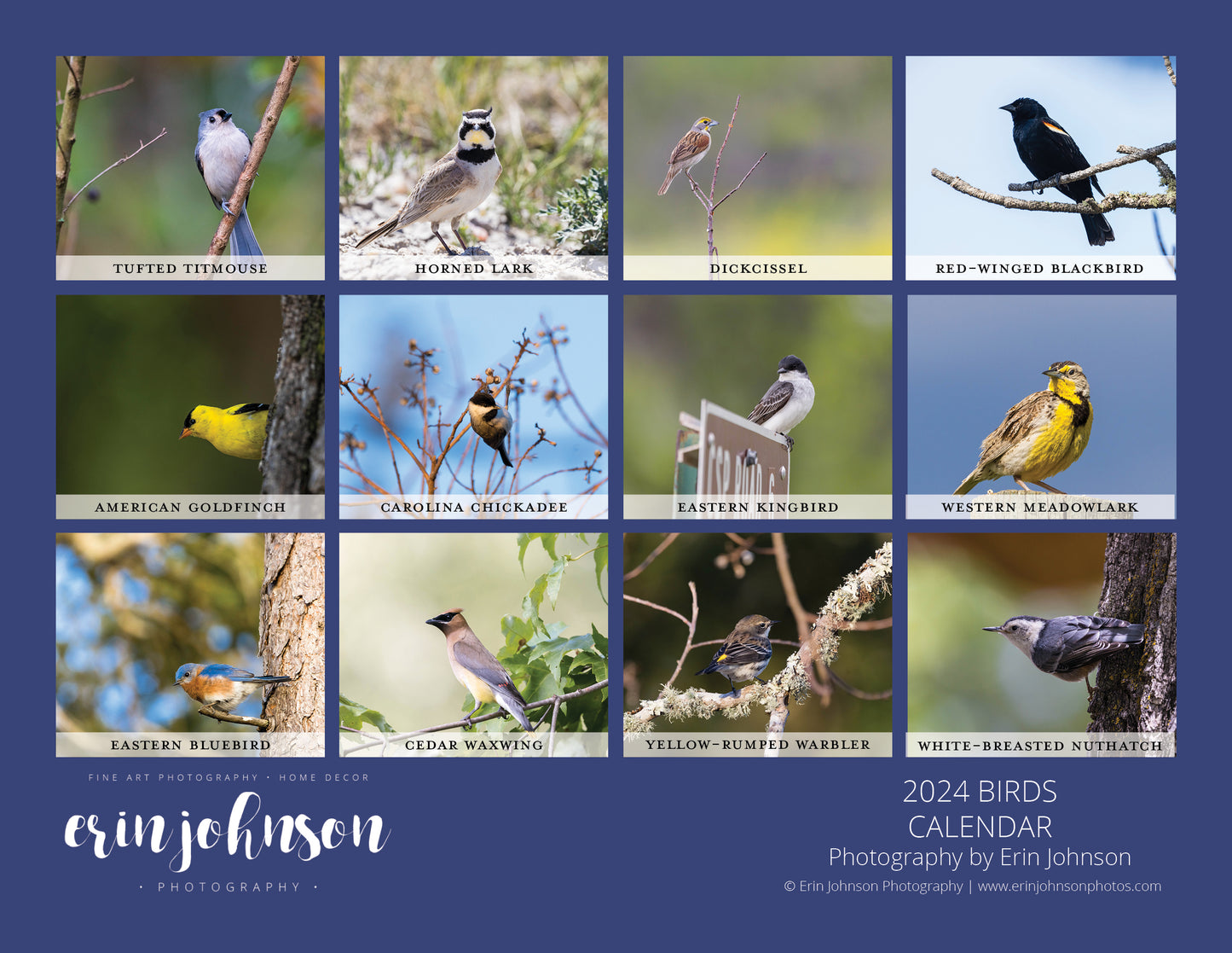 2024 Bird Wall Calendar