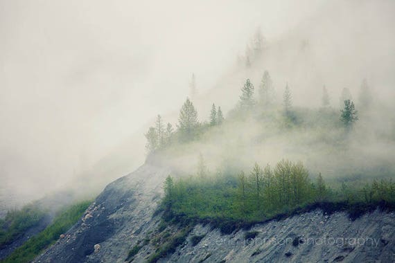 a foggy mountain with trees on top of it