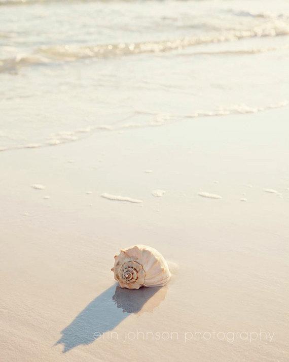Sunset beach photography with seashells – coastal wall art for beach cottage or bathroom decor.