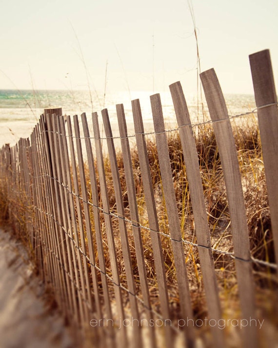 A landscape photograph featuring a wooden beach fence, sand dunes, and grass in the foreground, with a serene beach scene.