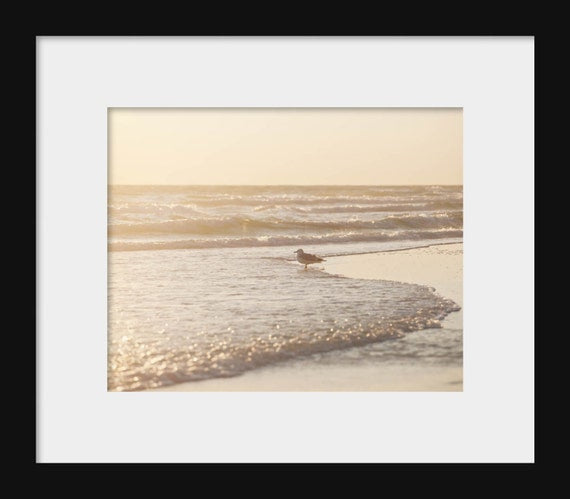 Seagull at sunset on the beach – coastal landscape photography for cottage or home decor.