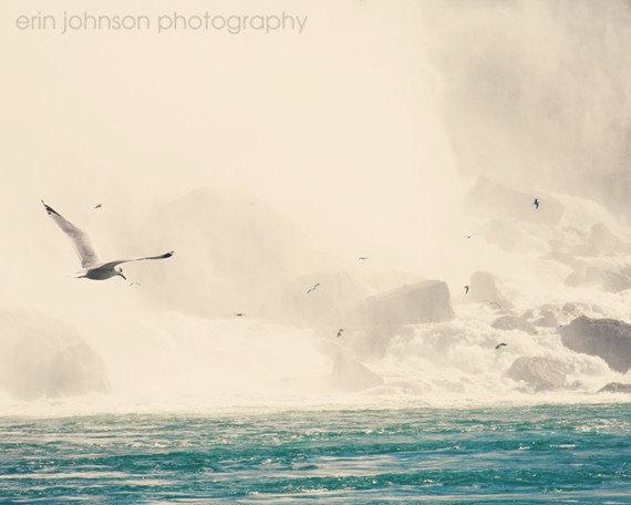 Seagulls flying over aqua-blue water at Niagara Falls, travel photography wall art print, world travel wall decor