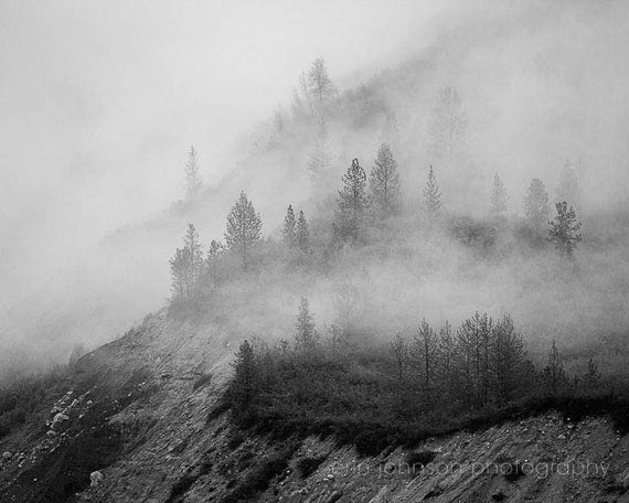 Black and white photograph of Glacier Bay National Park by Erin Johnson, available as print or canvas