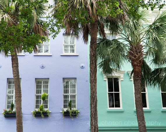 a row of palm trees in front of a blue building