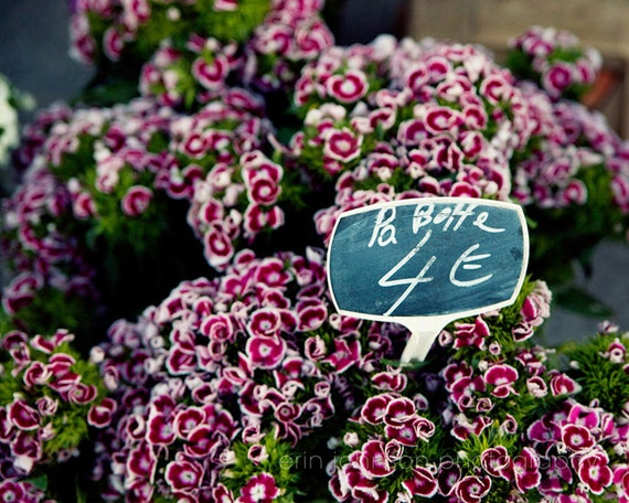 A close-up photograph of a sign with a price tag on it, with a background of various flowers at a market.