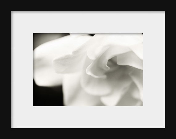 Black and white gardenia flower photography print floral fine art wall decor