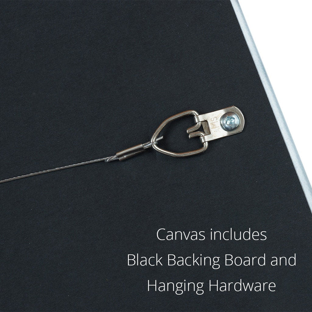 Canvas includes black backing board and hanging hardware.