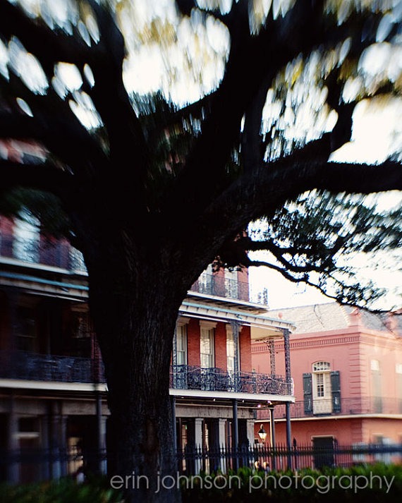 A photograph featuring a prominent tree with a building in the background, indicative of the French Quarter in New Orleans.