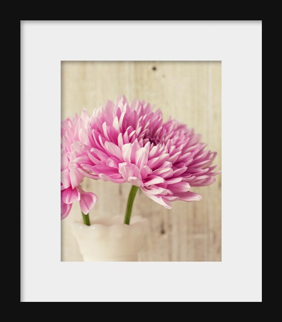 A large-format photograph of pink chrysanthemums, presented as a flower photography print with a rustic aesthetic.