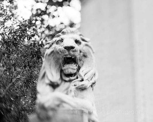 a black and white photo of a lion statue