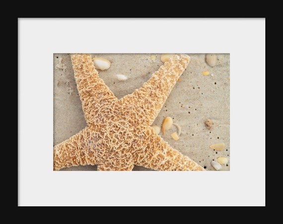 Seaside Beauty | Coastal Beach Photography Print