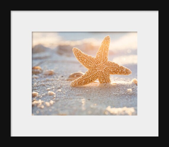 A photograph of a starfish on a sandy beach background, indicating it is a beach scene photography print.