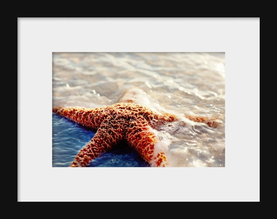 Starfish nautical seaside landscape beach photography print or canvas wall art